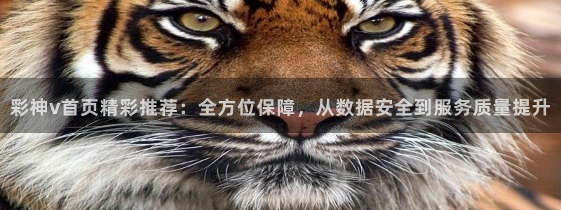 k8凯发免费版官网：彩神v首页精彩推荐：全方位保障，从数据安全到服务质量提升