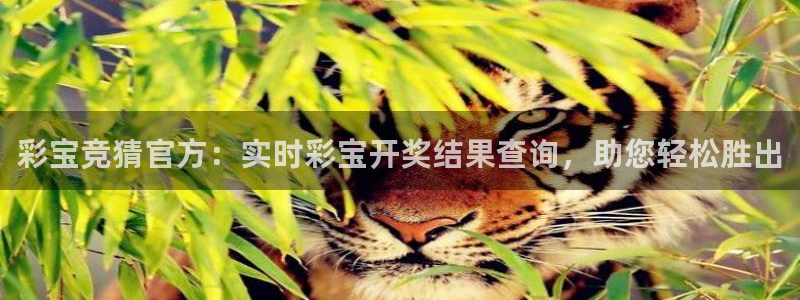 k8凯发(中国)：彩宝竞猜官方：实时彩宝开奖结果查询，助您轻松胜出
